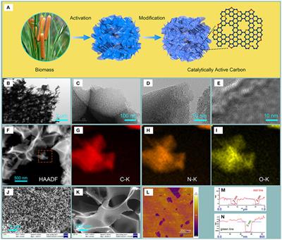 Catalytically Active Carbon From Cattail Fibers for Electrochemical Reduction Reaction